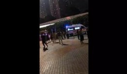 深圳命案最新爆料视频